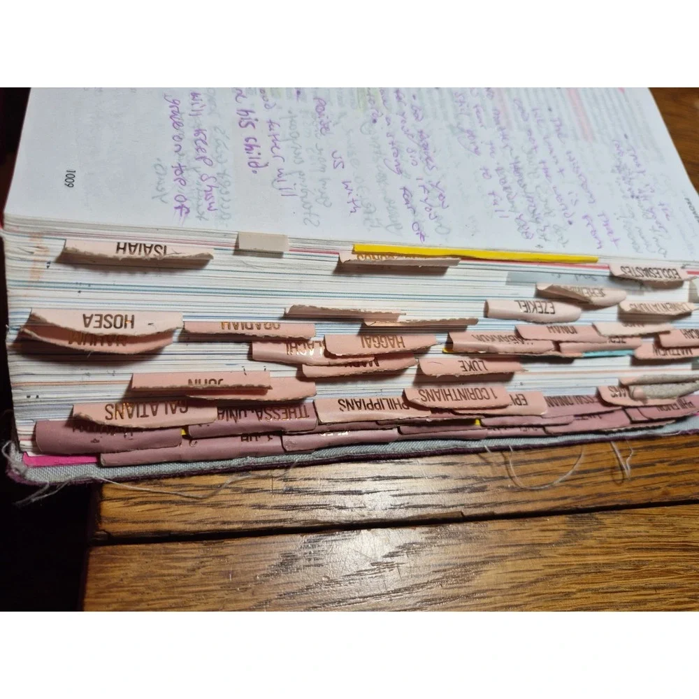 CSB She Reads Truth Bible, Indexed Pink Cover With Damages Read Desc.see Picture